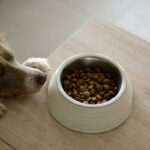 Allergy Turmeric Prevention Aid: 7 Proven Ways to Avoid Ineffective Dosage Mistakes