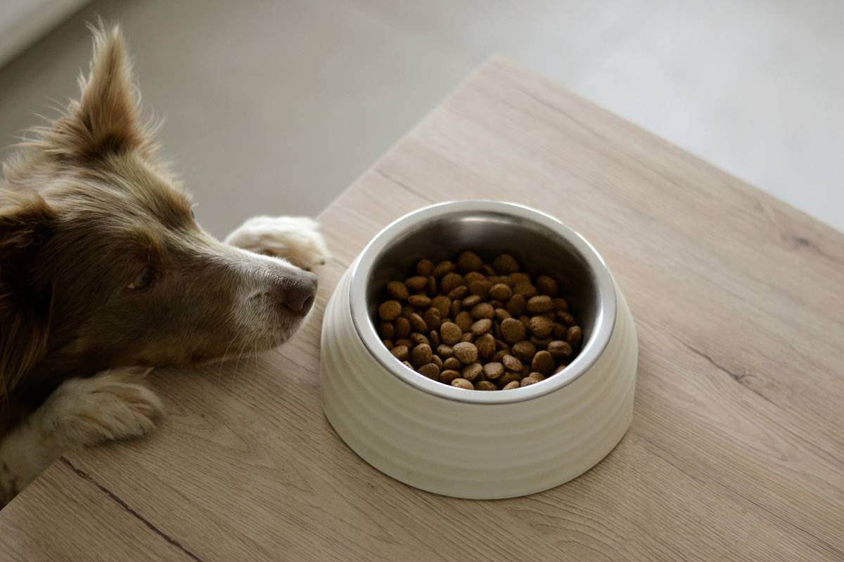 Allergy Turmeric Prevention Aid: 7 Proven Ways to Avoid Ineffective Dosage Mistakes