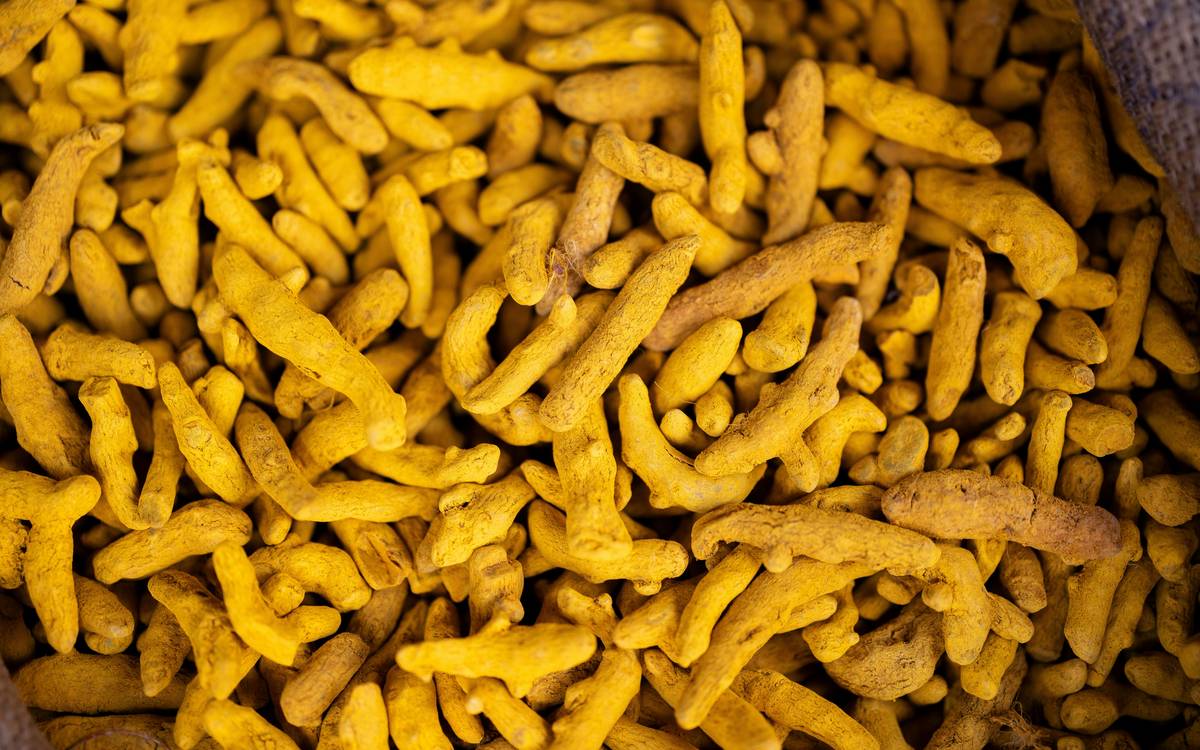 Allergy turmeric prevention aid: golden retriever calmly resting beside open supplement jar with turmeric powder, black pepper, and coconut oil visible on counter